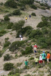 img_1206788781_681