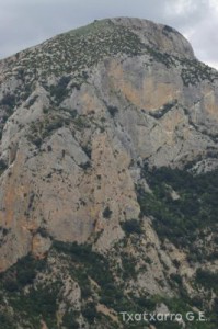 img_1206788781_812