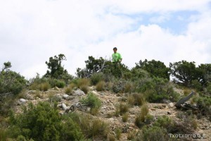 img_1206788783_598