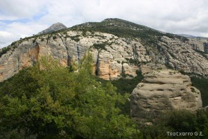 img_1206788783_761