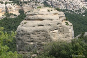 img_1206788783_807