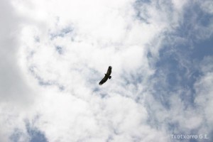 img_1206788785_310