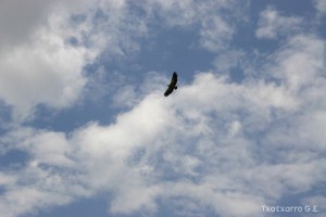 img_1206788785_348