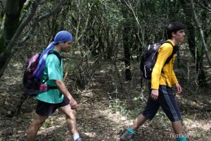 img_1206788786_0
