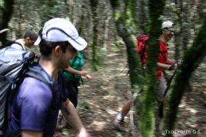 img_1206788786_338