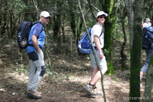 img_1206788786_390