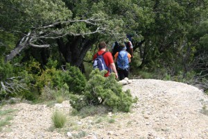 img_1206788786_833