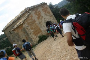img_1206788788_117