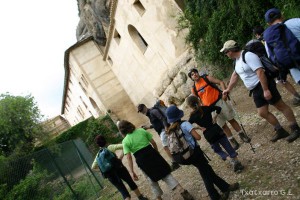 img_1206788788_876