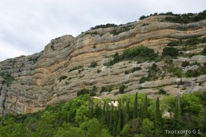 img_1206788789_509
