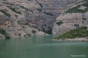 img_1206788793_595