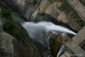 img_1206788795_445