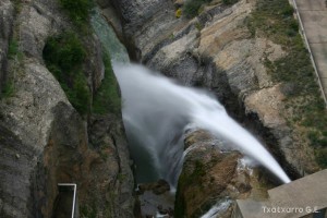 img_1206788795_733