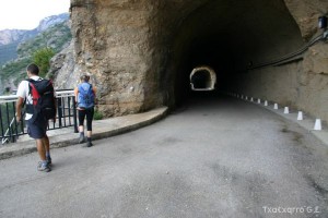 img_1206788796_94