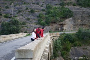 img_1206788799_284