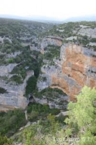 img_1206788802_542
