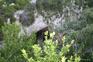 img_1206788802_609