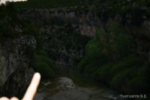 img_1206788806_923
