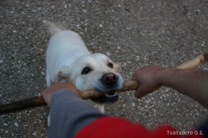 img_1206788807_324