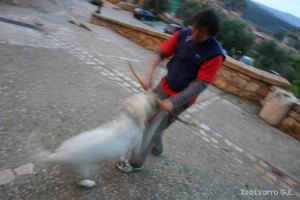 img_1206788807_379