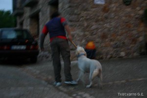img_1206788807_432
