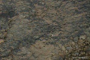 img_1206788810_594