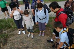 img_1206788810_747