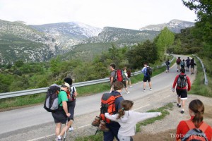 img_1206788810_972