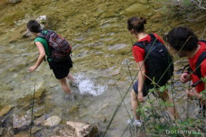 img_1206788815_765