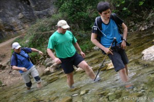 img_1206788816_340
