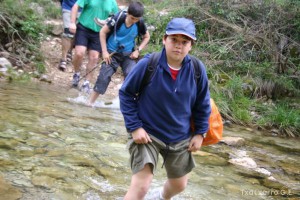 img_1206788816_395