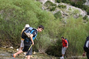 img_1206788817_305
