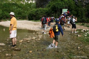 img_1206788819_980