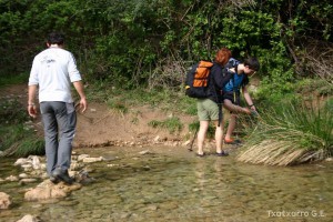 img_1206788820_61