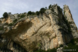 img_1206788821_583