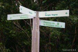 img_1206788821_842