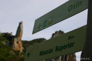 img_1206788823_377