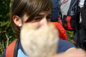 img_1206788826_815