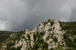 img_1206788828_765