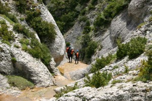 img_1206788830_22