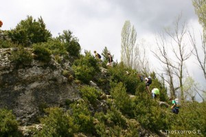 img_1206788831_522