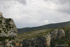 img_1206788831_645