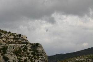 img_1206788832_557