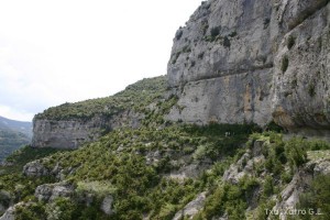 img_1206788833_46