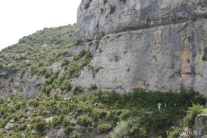 img_1206788833_814
