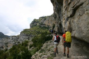 img_1206788834_315