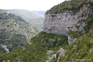 img_1206788834_965