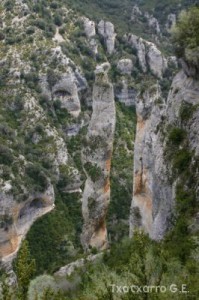 img_1206788836_200