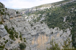 img_1206788836_363