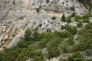 img_1206788837_675
